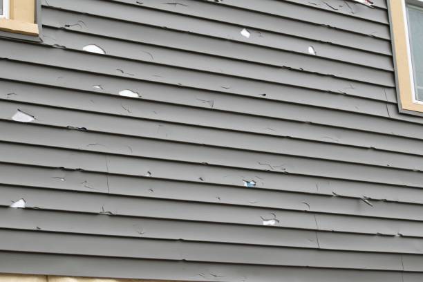 Best Insulated Siding Installation  in USA